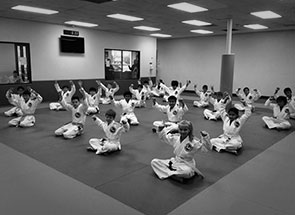 Youth Jiu Jitsu Programs